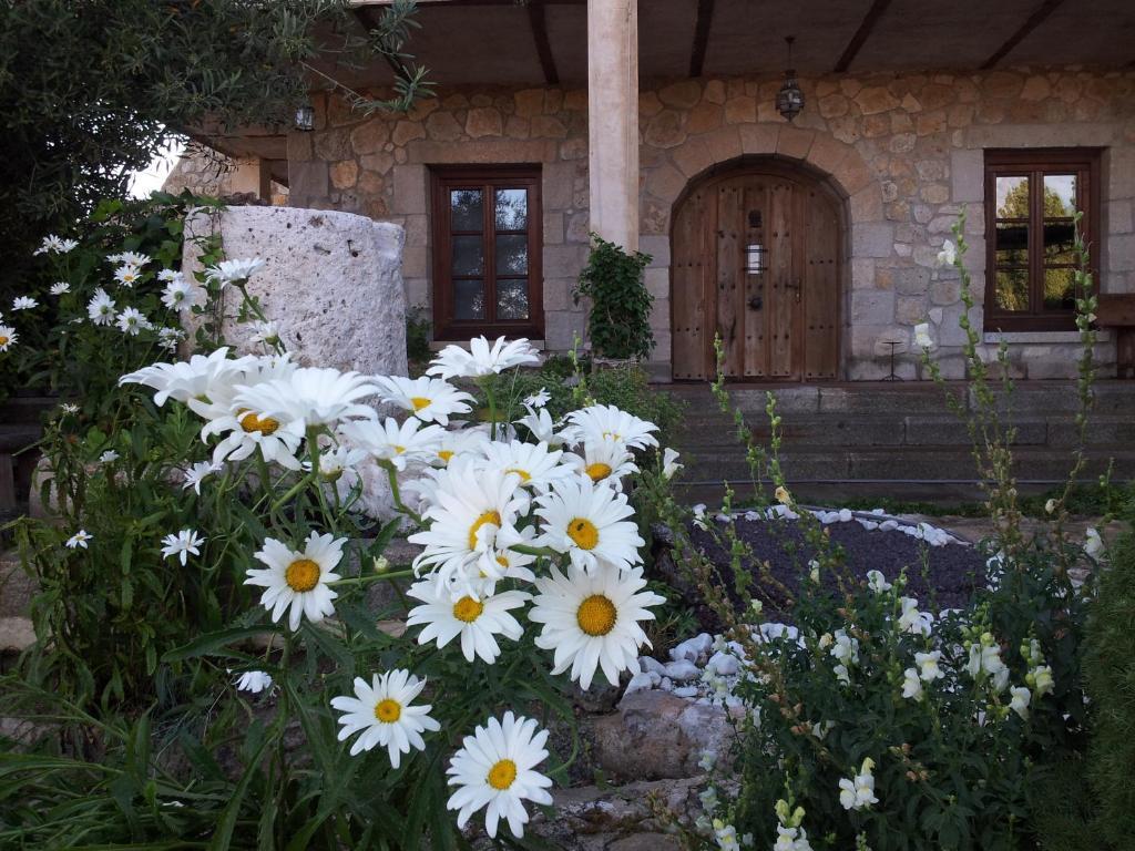 Hotel Rural San Pelayo San Pelayo  外观 照片