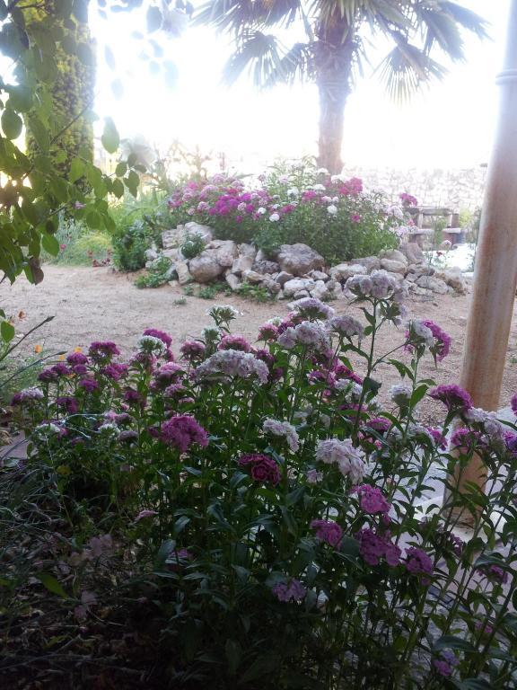Hotel Rural San Pelayo San Pelayo  外观 照片